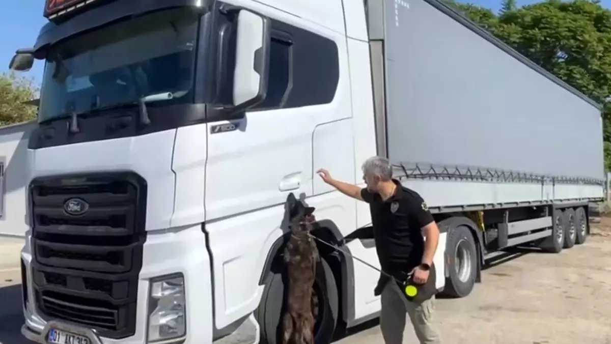 adanada 55 kilogram skunk ele gecirildi Z1gnLFZL.jpg