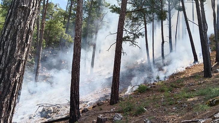 Antalya’da yıldırım düştü, ormanda yangın çıktı